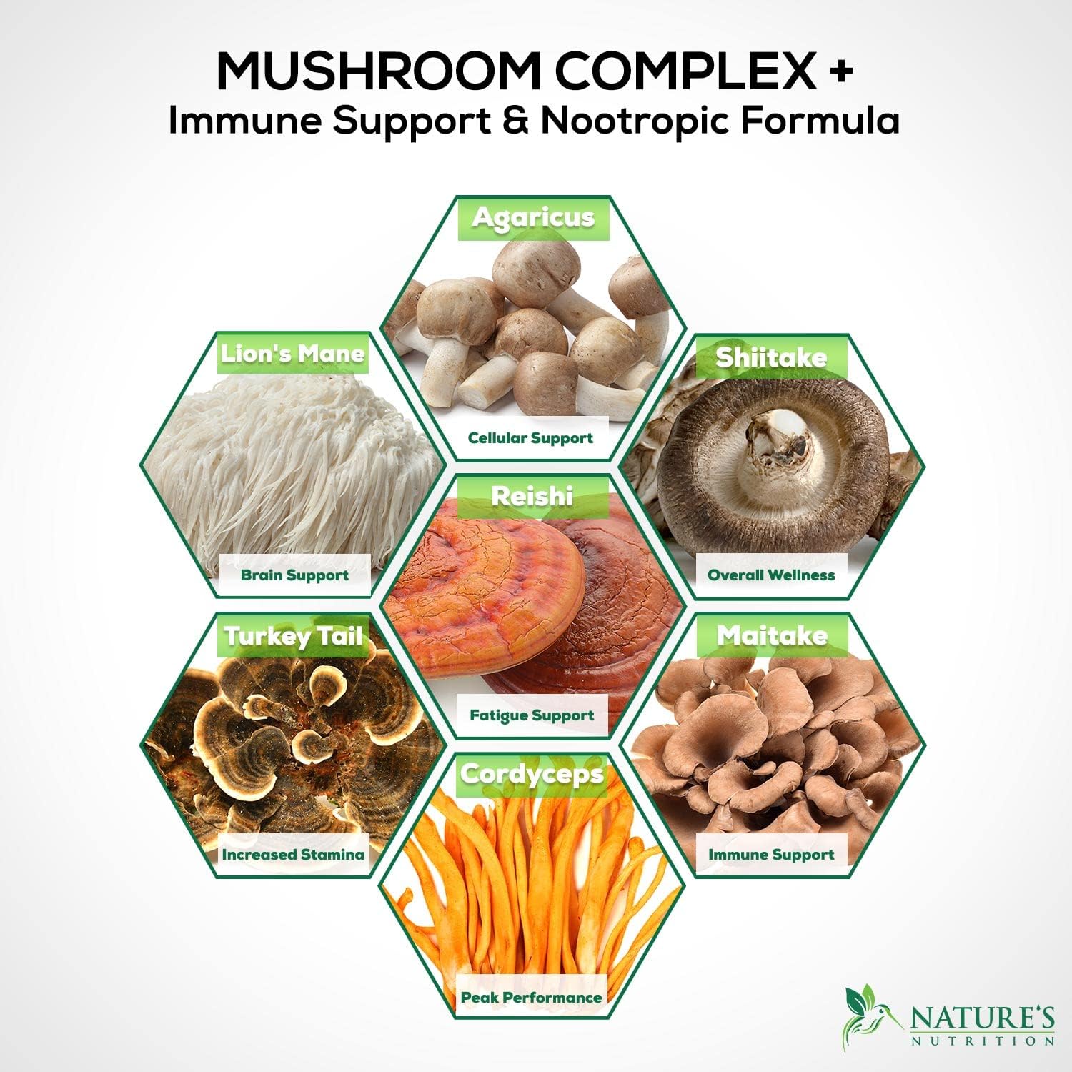 Mushroom Supplement - 10 Mushroom Complex Blend - Lions Mane, Reishi, Turkey Tail, Chaga, Cordyceps, Shiitake, Maitake - Nootropic Brain Supplement, Memory, Focus, Immune Health Support - 60 Count